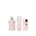 DELINA HAIR RITUAL