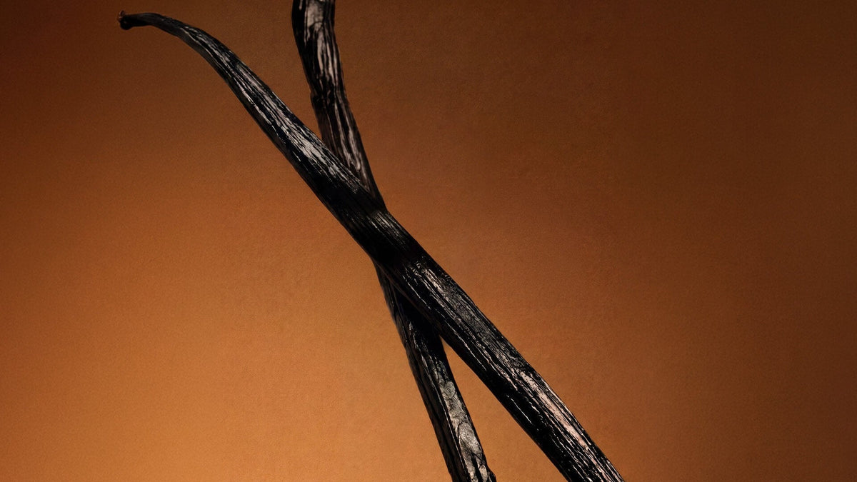 Vanilla