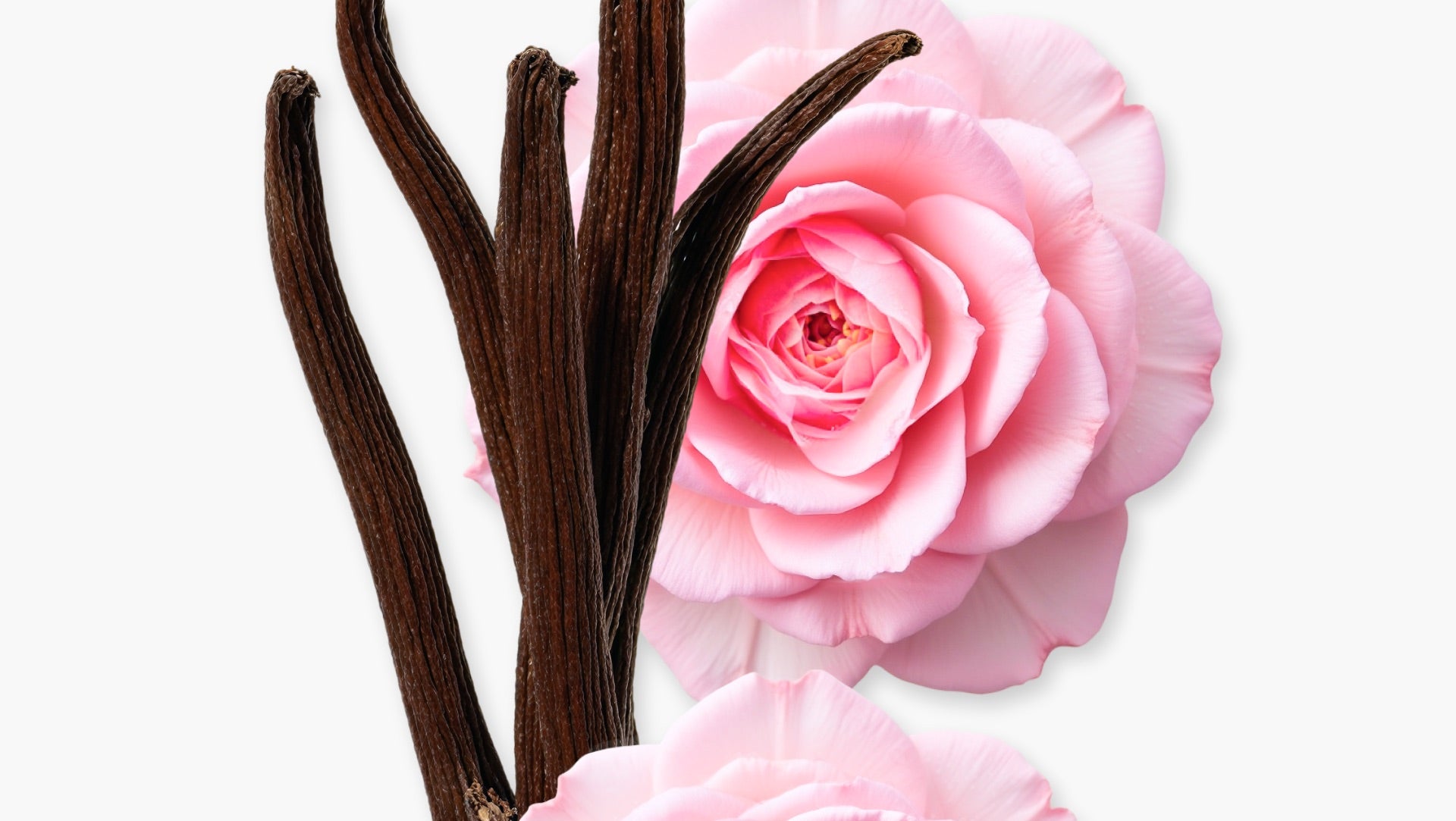 Delina Exclusif Parfum (75ml) - Parfums de Marly Official