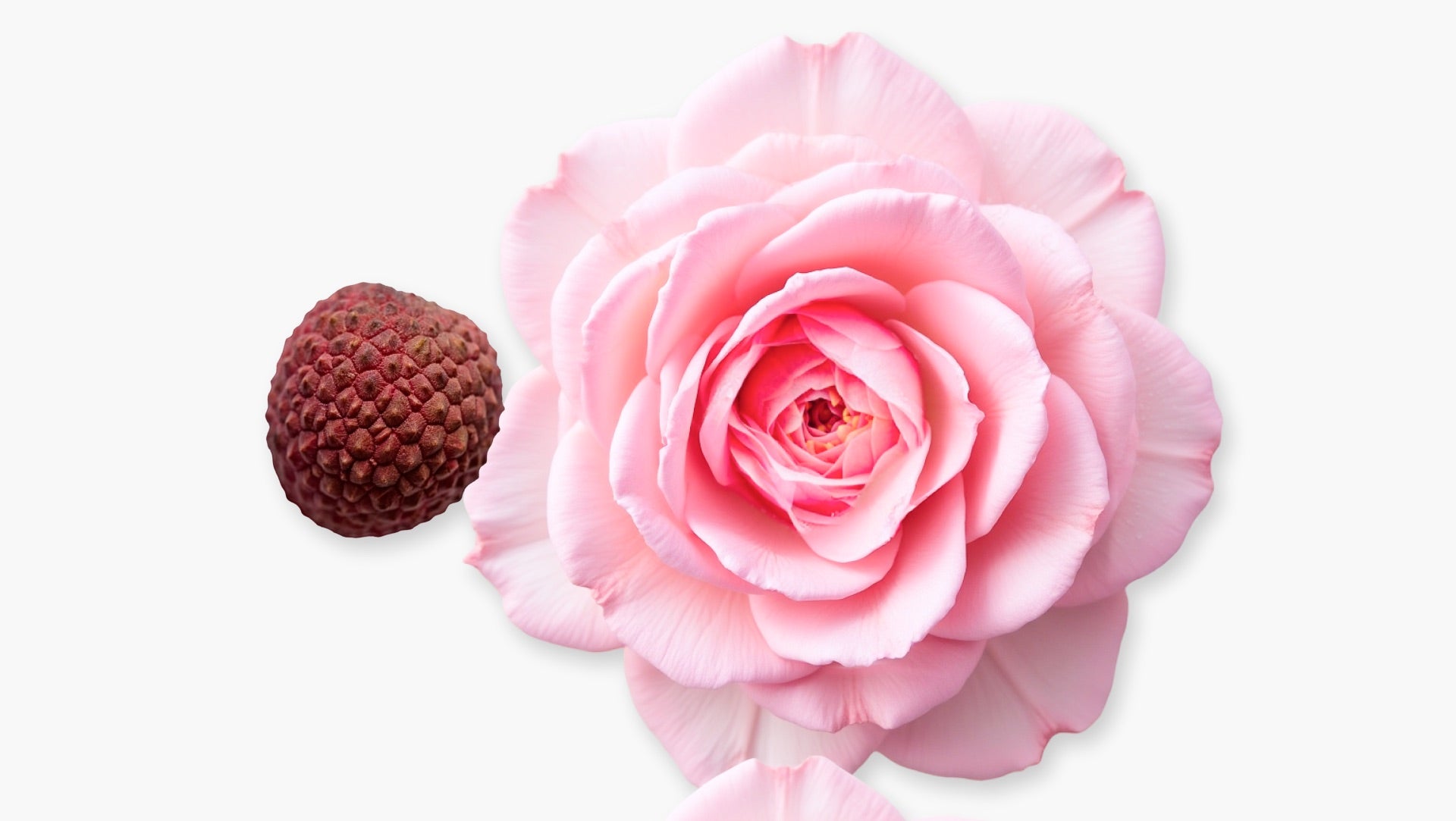 Delina La Rosée Eau de Parfum (75ml) - Parfums de Marly Official