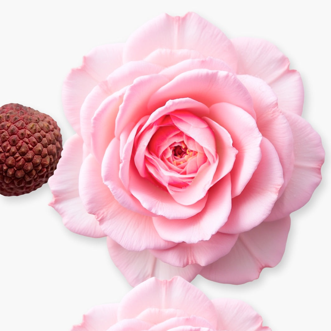 DELINA HAND CREAM