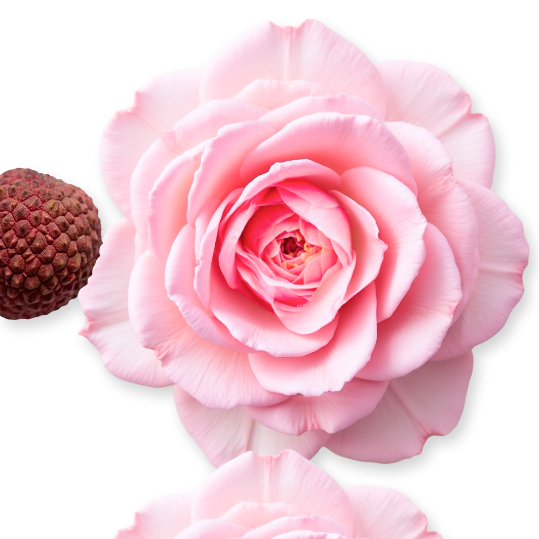 DELINA REFILLABLE BODY CREAM