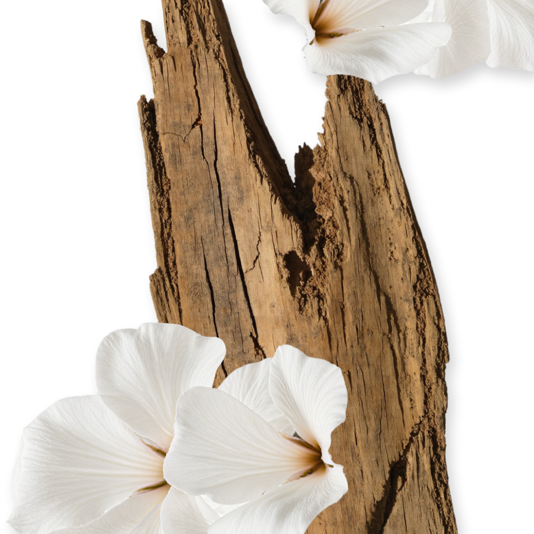 VALAYA HAIR PERFUME
