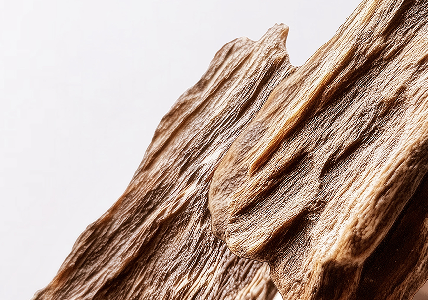 BAJO EL FOCO: OUD NATURAL‹
